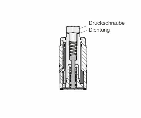 Druckschraube